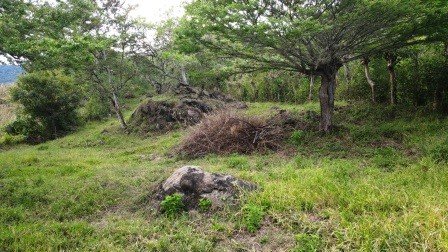 VENDO PARCELA 2.217M2 SAN GIL PC831291