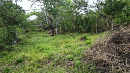 VENDO PARCELA 2.217M2 SAN GIL PC831291