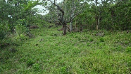 VENDO PARCELA 2.217M2 SAN GIL PC831291