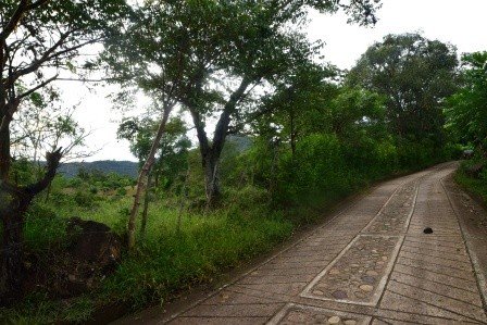 VENDO PARCELA 2.217M2 SAN GIL PC831291