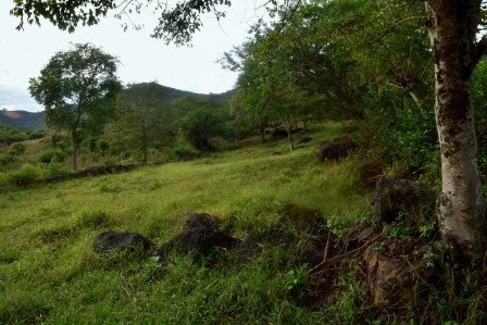 VENDO PARCELA 2.217M2 SAN GIL PC831291