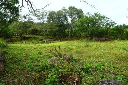 VENDO PARCELA 2.217M2 SAN GIL PC831291