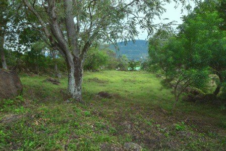 VENDO PARCELA 2.217M2 SAN GIL PC831291