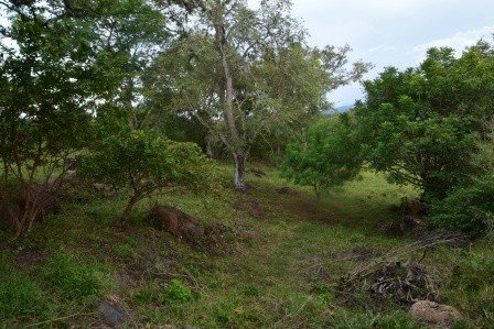 VENDO PARCELA 2.217M2 SAN GIL PC831291