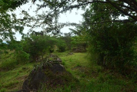 VENDO PARCELA 2.217M2 SAN GIL PC831291