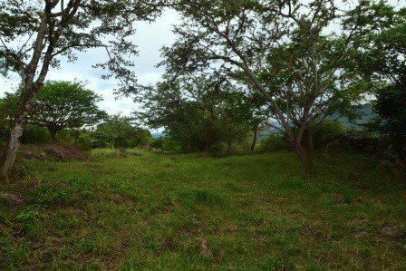 VENDO PARCELA 2.217M2 SAN GIL PC831291