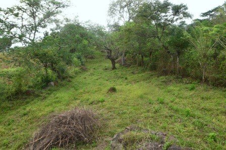 VENDO PARCELA 2.217M2 SAN GIL PC831291