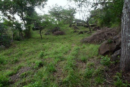 VENDO PARCELA 2.217M2 SAN GIL PC831291