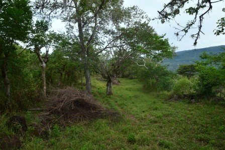 VENDO PARCELA 2.217M2 SAN GIL PC831291