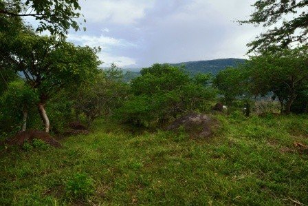 VENDO PARCELA 2.217M2 SAN GIL PC831291