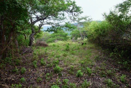 VENDO PARCELA 2.217M2 SAN GIL PC831291