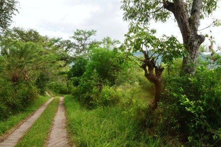 VENDO PARCELA 2.217M2 SAN GIL PC831291