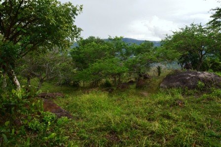 VENDO PARCELA 2.217M2 SAN GIL PC831291