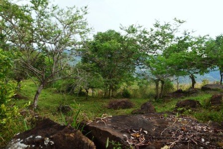 VENDO PARCELA 2.217M2 SAN GIL PC831291