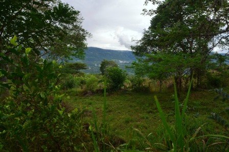 VENDO PARCELA 2.217M2 SAN GIL PC831291