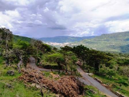 VENDO PARCELA 2.217M2 SAN GIL PC831291