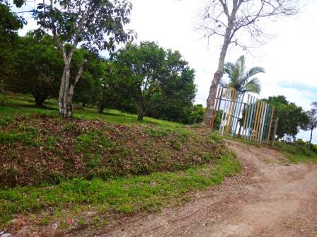 PARCELA 4 HA  PINCHOTE PP41294