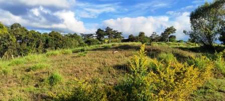 PARCELA CERCANA VÍA PAVIMENTADA  PC441322