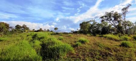 PARCELA CERCANA VÍA PAVIMENTADA  PC441322