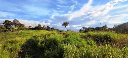 PARCELA CERCANA VÍA PAVIMENTADA  PC441322