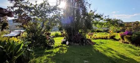 PARCELA CERCANA VÍA PAVIMENTADA  PC441322