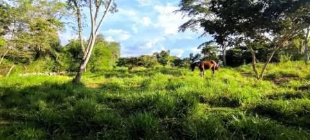 PARCELA CERCANA VÍA PAVIMENTADA  PC441322