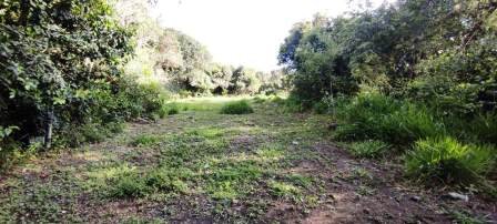 PARCELA CERCANA VÍA PAVIMENTADA  PC441322