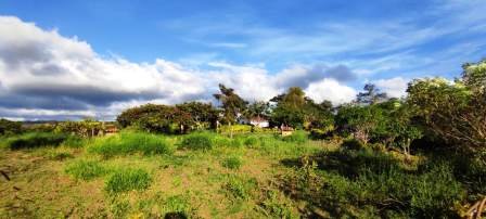 PARCELA CERCANA VÍA PAVIMENTADA  PC441322