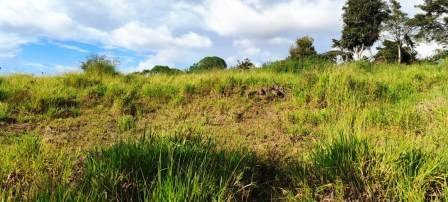 PARCELA 2.600M2 PC451323