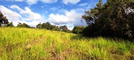 PARCELA 2.600M2 PC451323