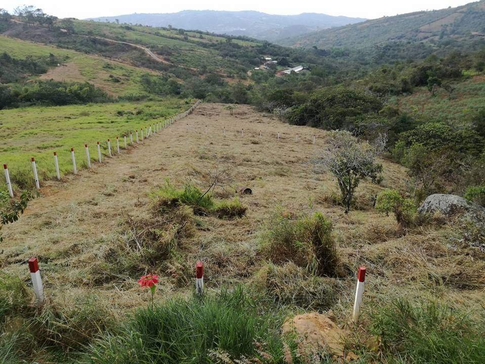 VENTA PARCELA  PC111330