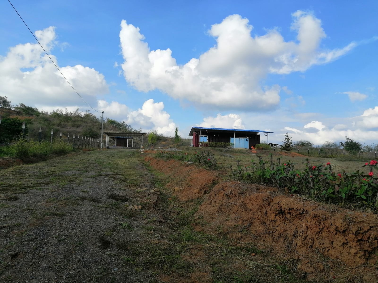 VENTA PARCELA CURITI PCC31372