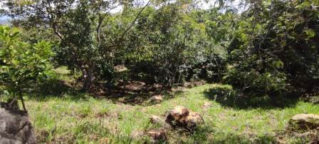 VENDO PARCELA PCC21397