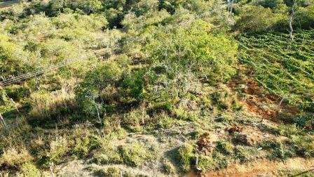 VENDO PARCELA 6.450M2 PCS91431