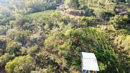 VENDO PARCELA 6.450M2 PCS91431