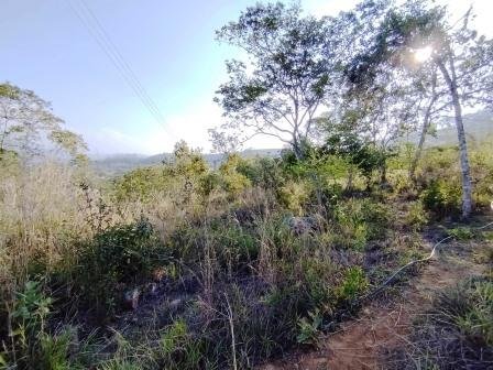 VENDO PARCELA 6.450M2 PCS91431