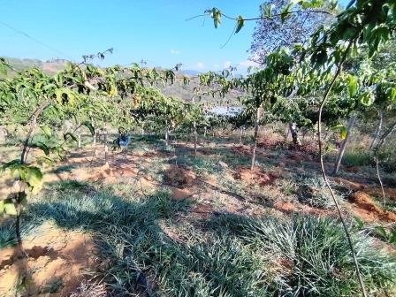 VENDO PARCELA 6.450M2 PCS91431