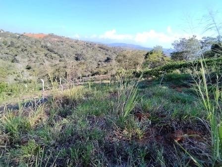 VENDO PARCELA 6.450M2 PCS91431