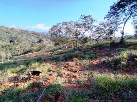 VENDO PARCELA 6.450M2 PCS91431