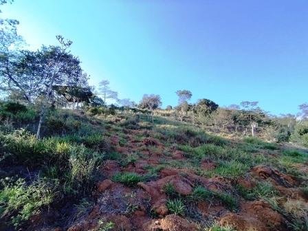 VENDO PARCELA 6.450M2 PCS91431