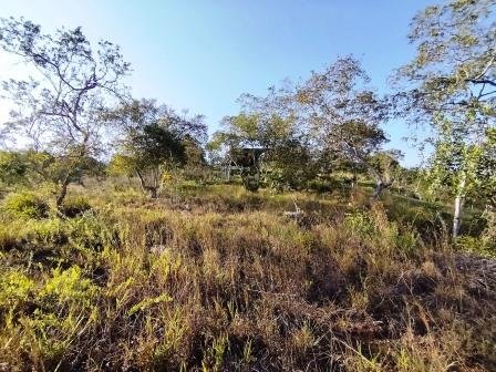 VENDO PARCELA 6.450M2 PCS91431