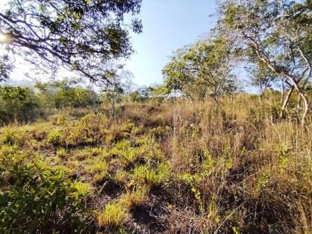 VENDO PARCELA 6.450M2 PCS91431