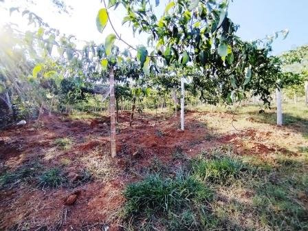 VENDO PARCELA 6.450M2 PCS91431