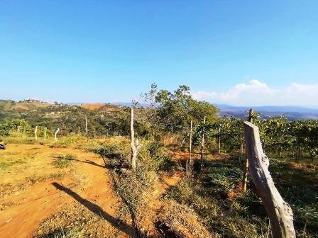 VENDO PARCELA 6.450M2 PCS91431