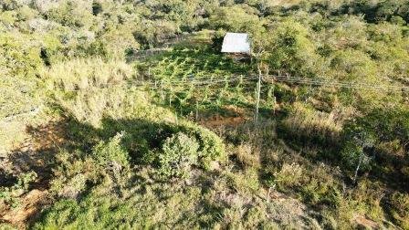 VENDO PARCELA 6.450M2 PCS91431