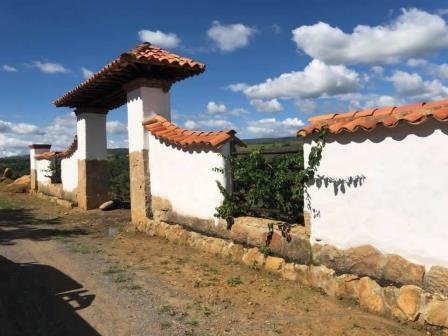 VENDO PARCELA-CURITI PCC41459