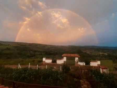 VENDO PARCELA-CURITI PCC41459