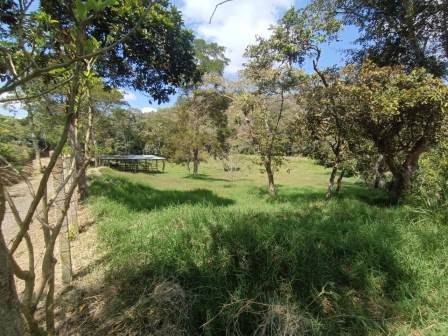 VENDO PARCELA EN CURITI PCC51472