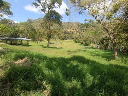 VENDO PARCELA EN CURITI PCC51472