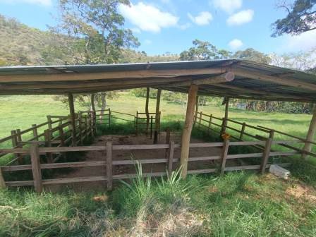 VENDO PARCELA EN CURITI PCC51472